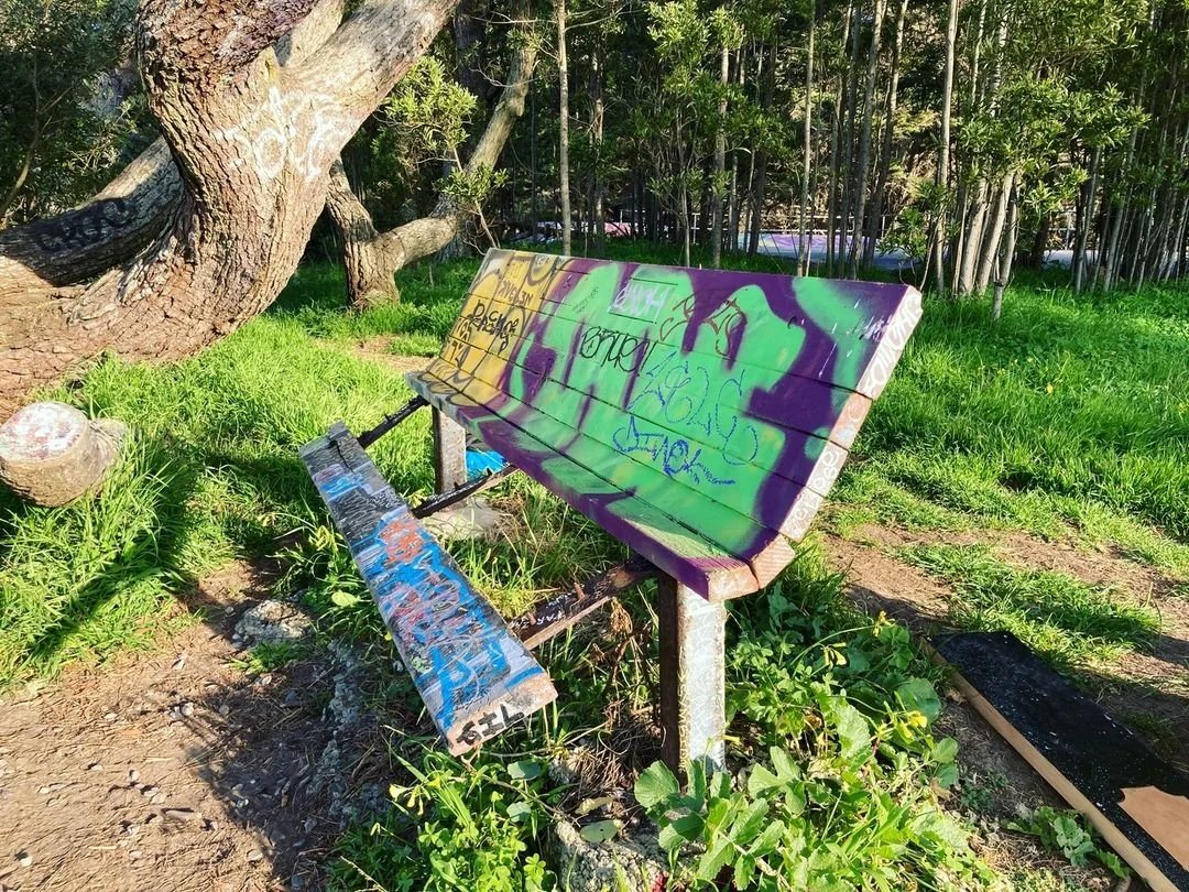 bench_before.jpeg